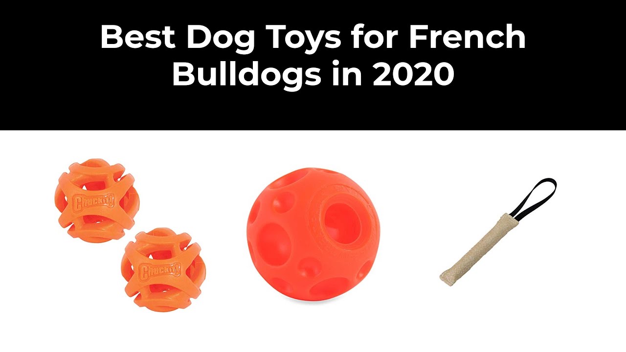 Best Dog Toys for French Bulldogs in 2020