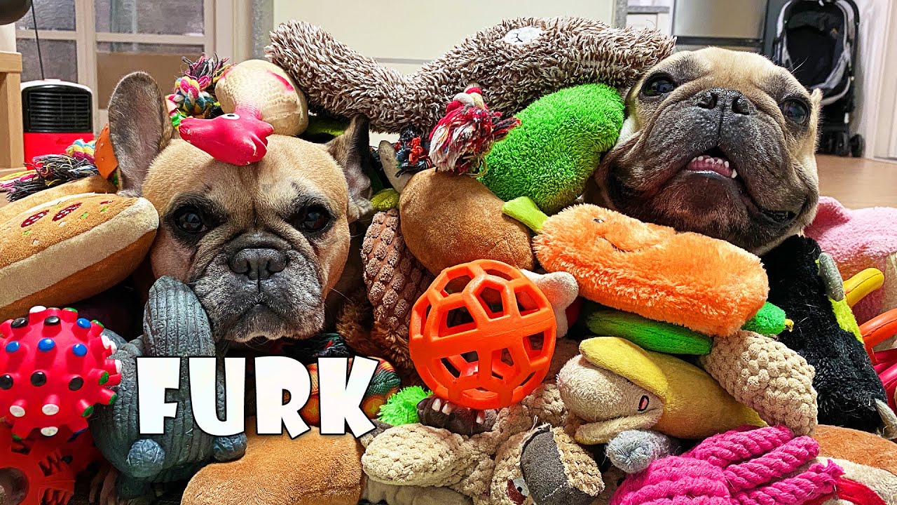 Big SURPRISE For My Dogs | Throwing Out My French Bulldog's Toys