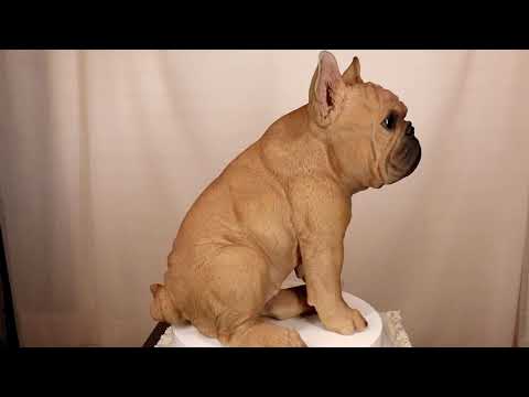 Ebros Large Lifelike Realistic French Bulldog Statue With Glass Eyes 15.75"H Frenchie
