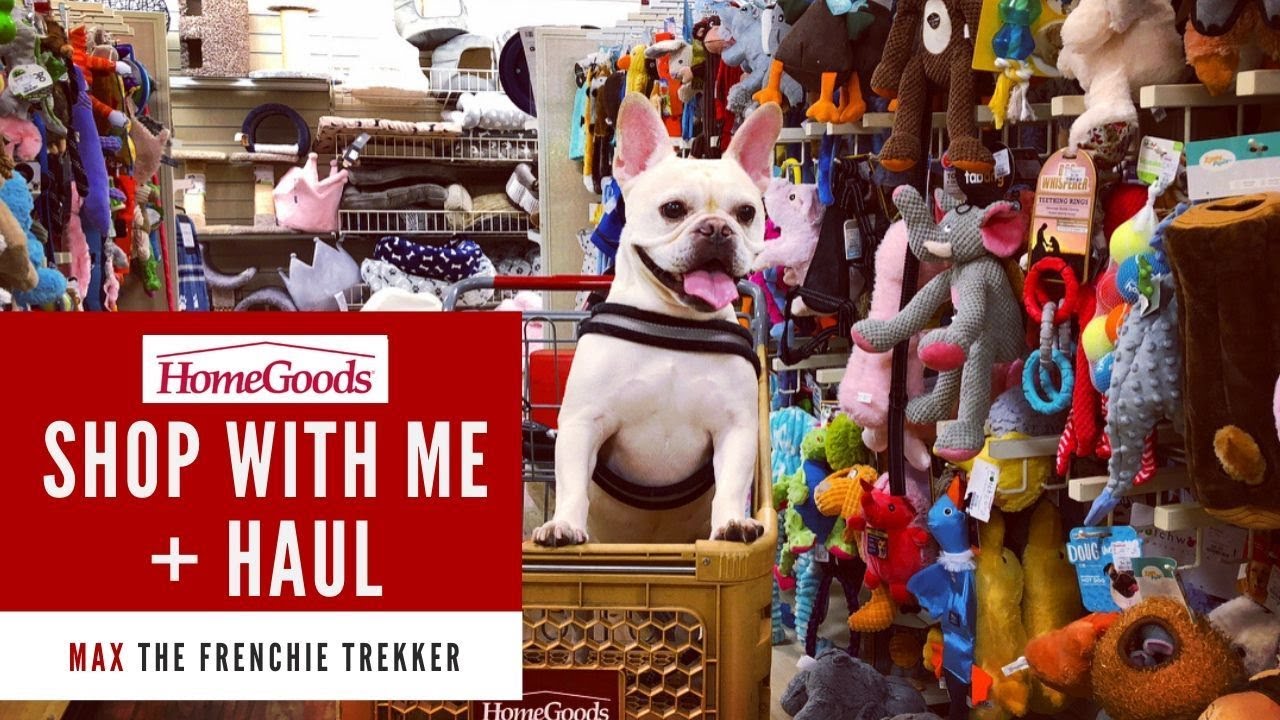 French Bulldog Goes Shopping at HomeGoods + Haul | Frenchie Trekker TV