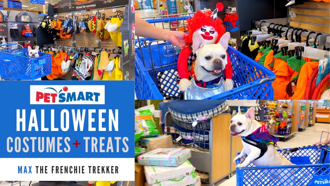 French Bulldog Goes Shopping at PetSmart | Halloween Costumes, Treats, & Toys | Frenchie Trekker TV