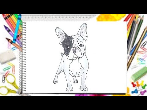 French Bulldog|How to draw French Bulldog|Easy way|Ss Smart Art