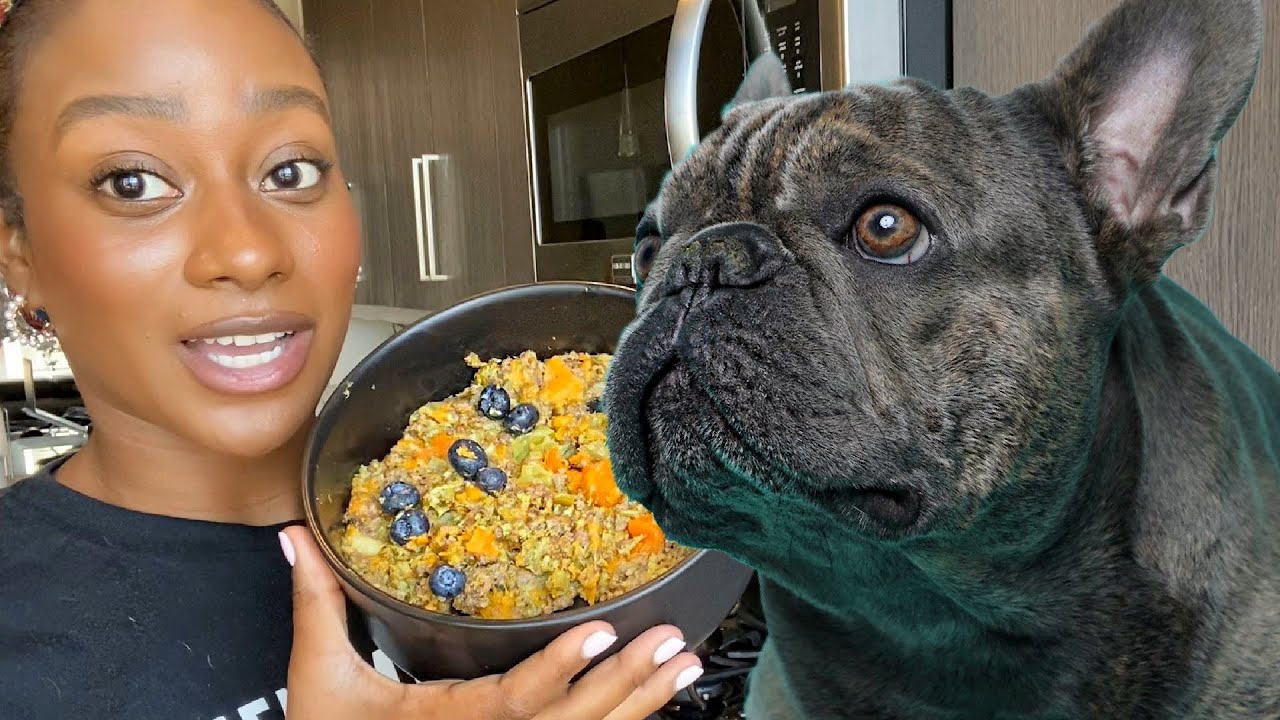 HOW TO MAKE DOG FOOD UNDER A BUDGET FOR FRENCH BULLDOGS!