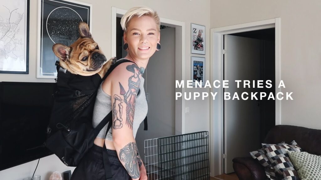 Is Menace a Backpack Dog?