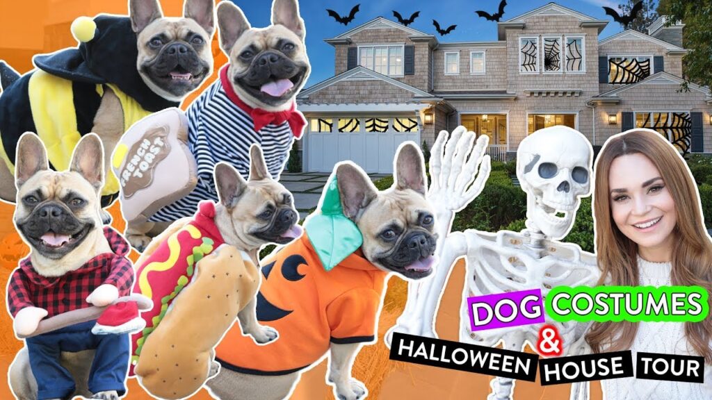 My Dog Tries On Halloween Costumes!! + Halloween House Tour!