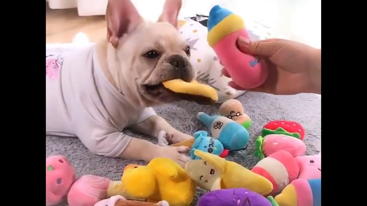 Plush French Bulldog Toys by Frenchie World