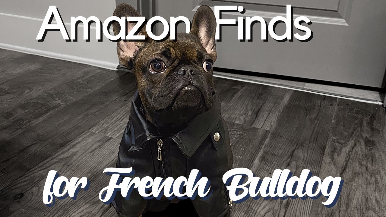 Puppy Amazon Haul | FRENCH BULLDOG EDITION