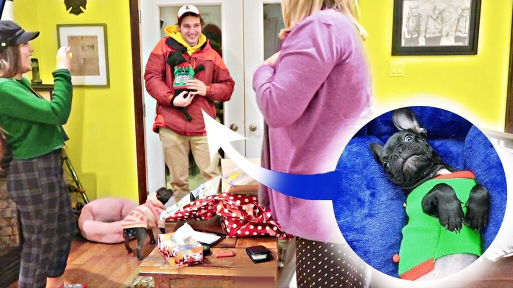 SURPRISING MOM WITH FRENCH BULLDOG PUPPY for Christmas 2017! | Vlogmas Day 18