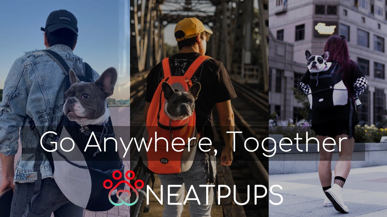 The Best Dog Carrier Backpack in the World | NeatPups™ K9 Travel Pack!