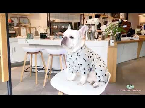 french bulldog pajamas